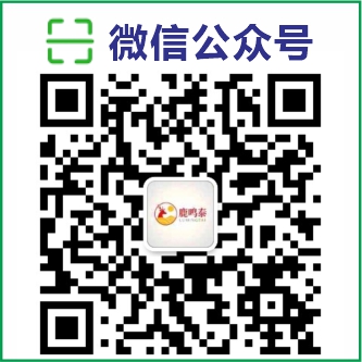 湖北鹿鸣泰科技有限公司官网